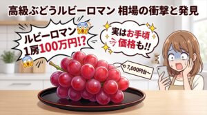 ルビーロマンの値段は？1房・1粒の相場と初競り価格、楽天3商品を比較